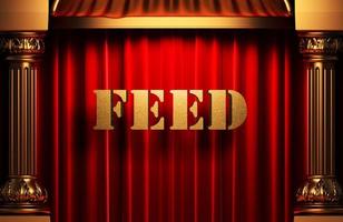 feed golden word on red curtain photo