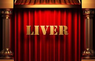 liver golden word on red curtain photo