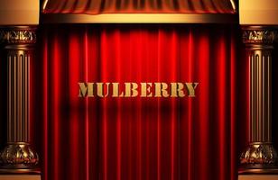 mulberry golden word on red curtain photo