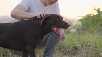 Young man expressing love by rubbing on his dark brown Labrador retriever while resting after walking inside the park, relaxing exercise activity on summer time, bonding spending time with pet