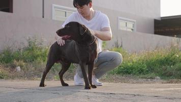 jonge knappe Oost-Aziatische man die zijn puppy labrador retriever aan de straatkant wrijft en troost terwijl hij voor het eerst buiten naar huis loopt, angst bij de hond en paniekaanvallen, levensstijl en activiteit video