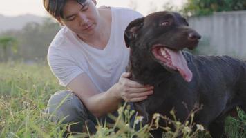 Young male Black Labrador retriever dog owner playing and taking care of his dog, good dog, pet therapy, pet helps relief stress, animal instinct and habit effect to human, pet care support video