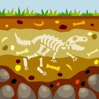 esqueleto de dinosaurio huesos de un lagarto prehistórico. terreno en la sección vector