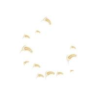 skattered wheat background vector