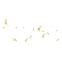 skattered wheat background vector