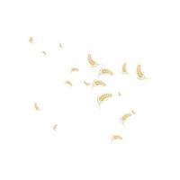 skattered wheat background vector