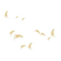 skattered wheat background vector