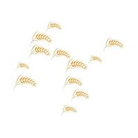 skattered wheat background vector