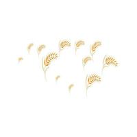 skattered wheat background vector