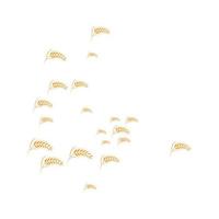 skattered wheat background vector