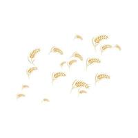 skattered wheat background vector