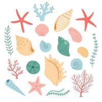 Seashell and coral vector illustration, simple color, flat design