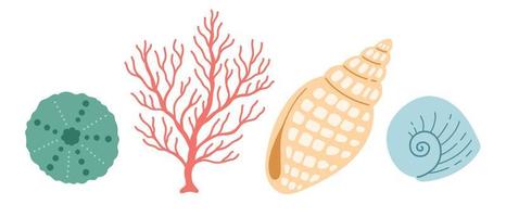 Seashell and coral vector illustration, simple color, flat design