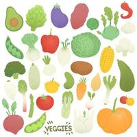 Veggies set, different vegetables in flat design, vector illustration