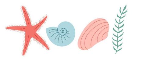 Seashell and coral vector illustration, simple color, flat design