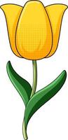 Yellow tulip with green leaves vector
