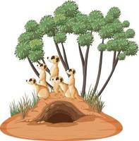 Group of meerkats with burrow in cartoon style vector