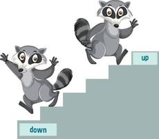 English prepositions with raccoons up and down stairs vector