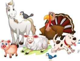 Many farm animals on white background vector