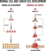 diagrama que muestra el desarrollo de células normales y cancerosas vector