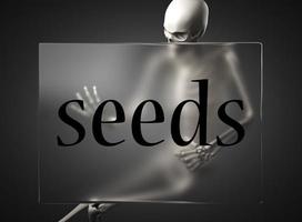 seeds word on glass and skeleton photo