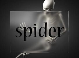 palabra araña sobre vidrio y esqueleto foto