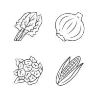 conjunto de iconos lineales de verduras. coliflor, cebolla, maíz, espinaca. vitamina y dieta. nutrición saludable. símbolos de contorno de línea delgada. ilustraciones aisladas de contorno vectorial. trazo editable vector