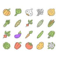 conjunto de iconos de colores de verduras. patata, zanahoria, pimiento, cebolla. ingredientes de sopa y ensalada. vitamina. dieta. nutrición saludable. granja de hortalizas. comida vegetariana. ilustraciones de vectores aislados