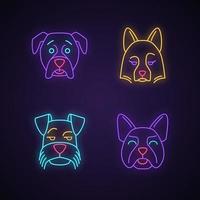 Dogs cute kawaii neon light characters. Animals with sad muzzles. Smirking Mini Schnauzer. Funny emoji, emoticon set. Glowing icons with alphabet, numbers, symbols. Vector isolated illustration