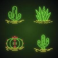 conjunto de iconos de luz de neón de cactus silvestres en el suelo. suculentas tropicales. plantas espinosas. gigante mexicano, saguaro, peyote, cactus cebra. signos brillantes. Ilustraciones de vectores aislados