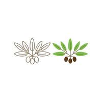 Olive oil. Vector outline icon illustration template