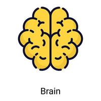 icono de línea de color de cerebro aislado sobre fondo blanco vector