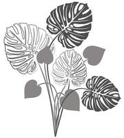 Vector isolated monochrome illustration of monstera bouquet.