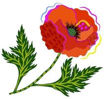 Vector isolated illustration of poppy flower.