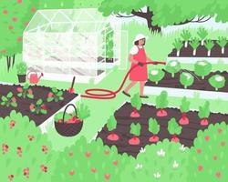 Farmer woman watering vegetables in the vegetable garden vector