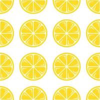 Seamless pattern with hand drawn lemons vector