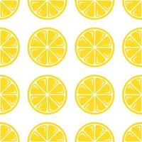 Seamless pattern with hand drawn lemons vector