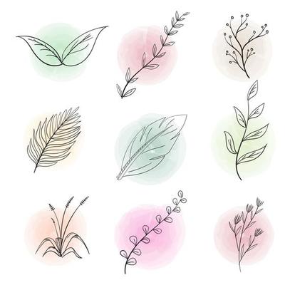 Sketch of hand-drawn flower leaves with a round watercolor background