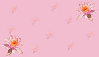 Lotus copy space background 1 , flower background for copy space and decorate your work vector