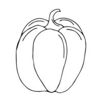 Vector hand drawn illustration of a peper or pumpkin. Outline doodle icon. Food sketch for print, web, mobile and infographics. Isolated on white background element.