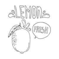 Food background. Stylized hand drawn lemon, water splashes and lettering lemon on a white background.Vector illustration with hand drawn style words. vector