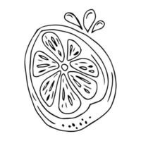 Single element hand drawn lemon slice icon. Vector illustration of doodles for cafes and restaurants, cute postcards and culinary design.