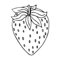 Strawberry hand drawn outline doodle icon. Vector sketch Logo illustration of healthy berry - fresh raw strawberry for print, web, mobile and infographics isolated on white background