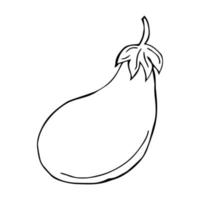 Hand drawn eggplant icon. Vector badge vegetable in the old ink style for brochures, banner, restaurant menu and market