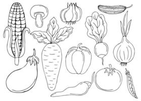 esbozar icono vegetal conjunto ilustración vectorial. Esbozo de contorno de línea negra verduras, tomate y cebolla, patata y pimiento icono de garabato sobre fondo blanco para el diseño vintage del menú del restaurante vector