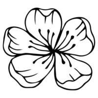 Sketch of spring flowers of quince, almond, apple tree branches with buds and flowers. Hand draw botanical doodle vector illustration in black contrast with white fill.