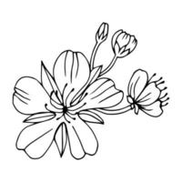 Sketch of spring flowers of quince, almond, apple tree branches with buds and flowers. Hand draw botanical doodle vector illustration in black contrast with white fill.