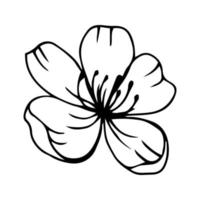 Sketch of spring flowers of quince, almond, apple tree branches with buds and flowers. Hand draw botanical doodle vector illustration in black contrast with white fill.