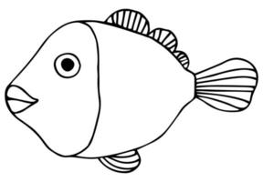 lindo pez tropical - una imagen para colorear. peces lineales vectoriales - elemento de diseño animal. peces de acuario - mascota. contorno. Dibujo a mano vector
