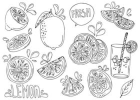 Lemons set. Vector sketch, doodle